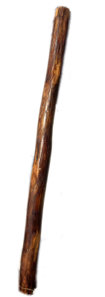Pal-de-pluja.png